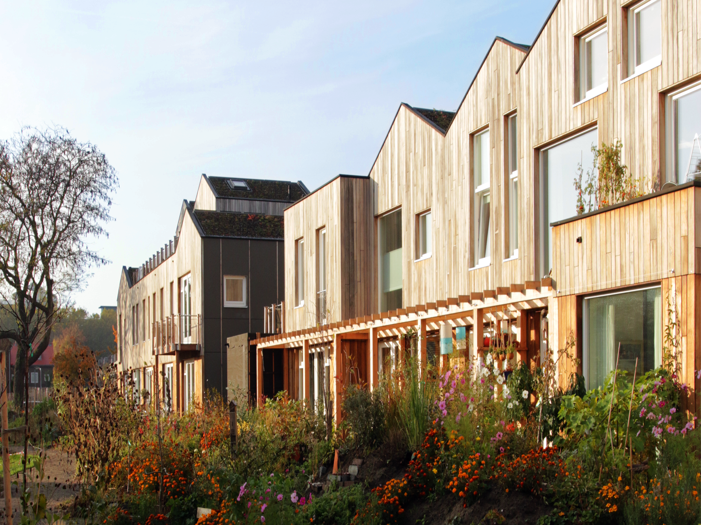 CPO en projecten Groene Bouwsystemen